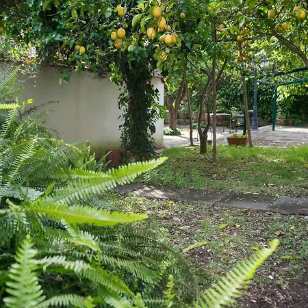 Pace Minori
